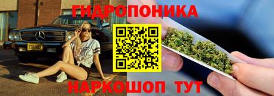 jwh Гусев